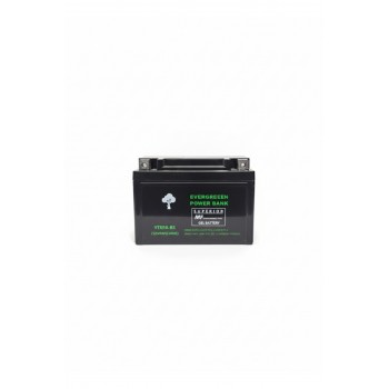 YTX9A-BS (12V9AH)