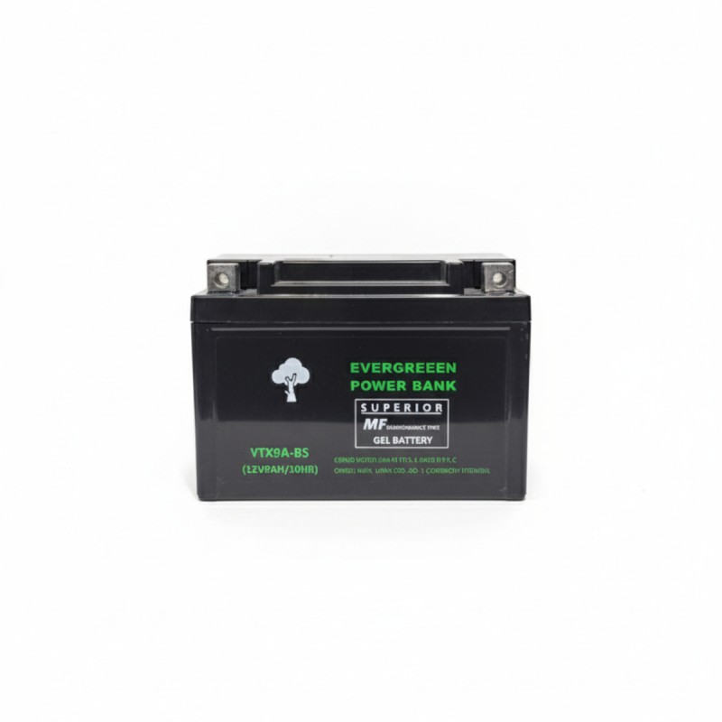 YTX9A-BS (12V9AH)