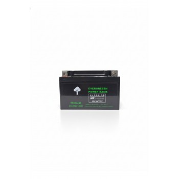 YTX7A-BS (12V7AH)
