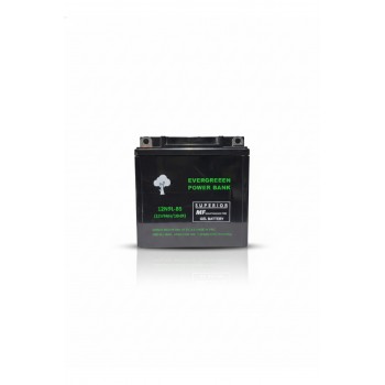 12N9L-BS (12V9AH)