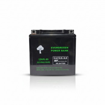 12N9L-BS (12V9AH)