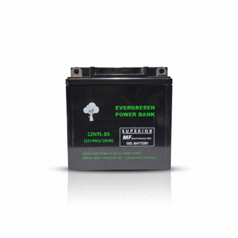 12N9L-BS (12V9AH)